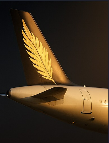 Elite Air fleet